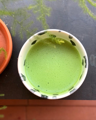 Wagashi & Matcha: A Taste of Japanese Tradition