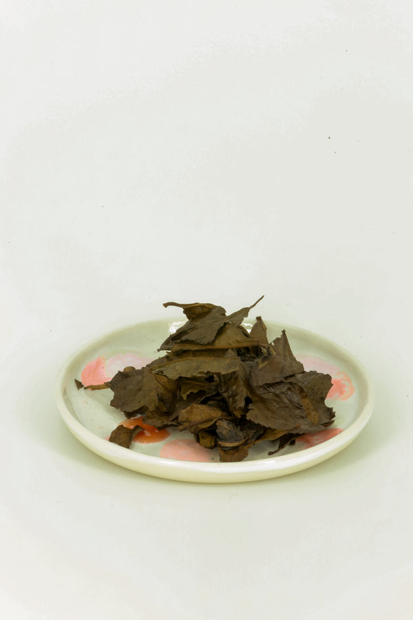 Kyobancha