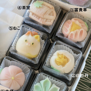 Traditional Wagashi Workshop with Japanese Artisan